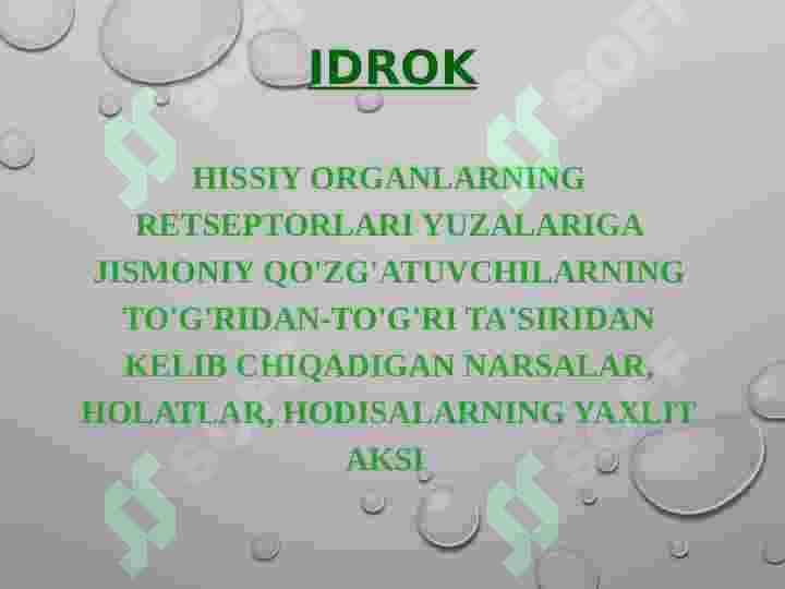 idrok 3