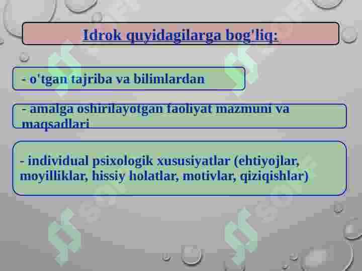 idrok 5