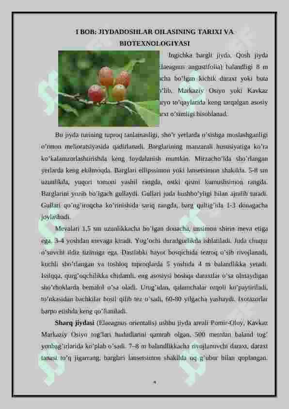 Jiydadoshlar oilasi 4