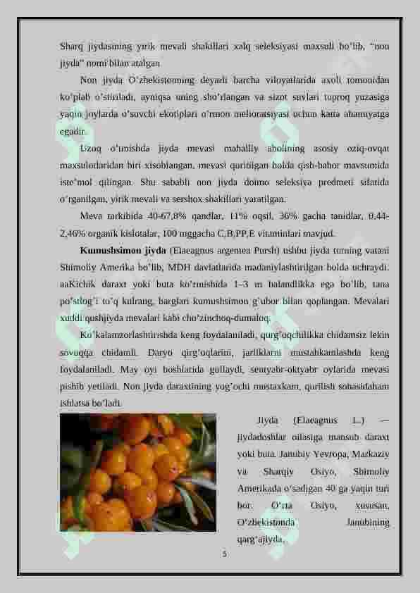 Jiydadoshlar oilasi 5