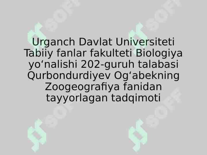 Kaklik
