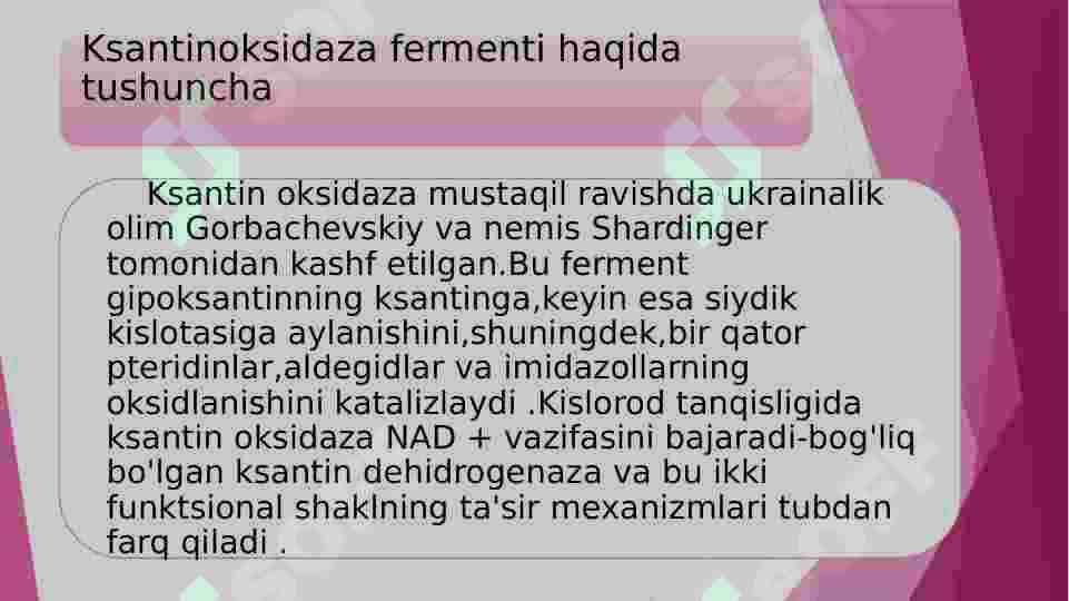 Ksantinoksidaza fermenti haqida 2