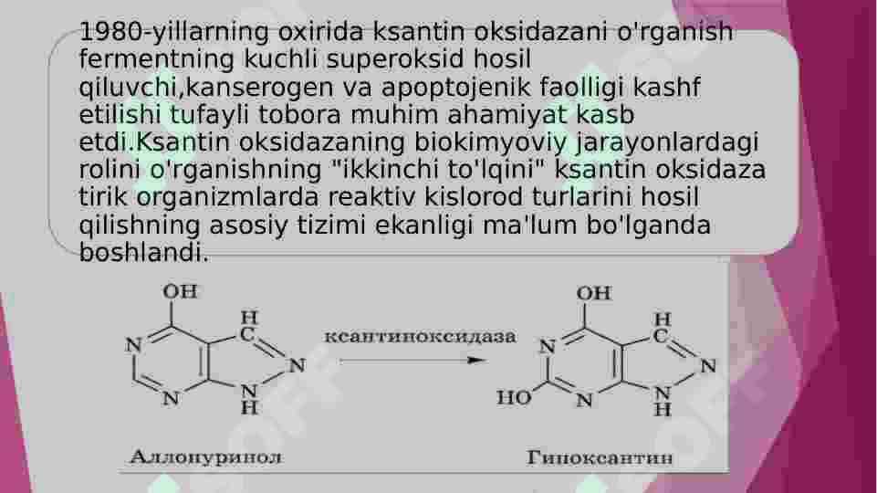 Ksantinoksidaza fermenti haqida 3