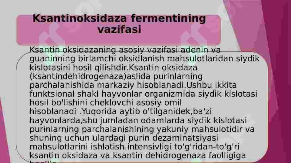 Ksantinoksidaza fermenti haqida 4