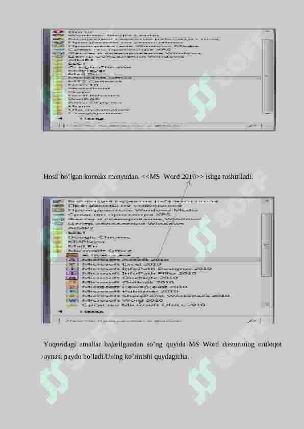 MS Word 2010 3
