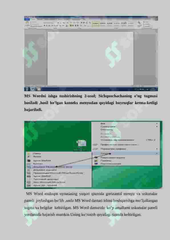 MS Word 2010 4