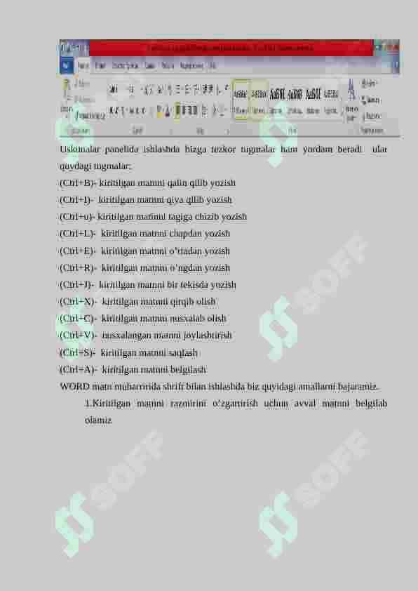 MS Word 2010 5