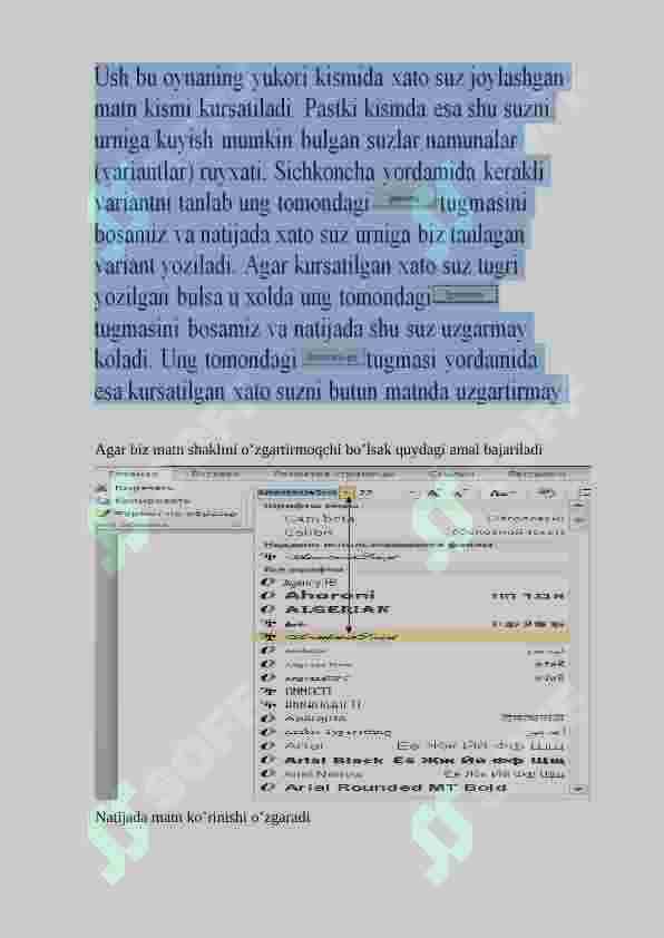 MS Word 2010 7