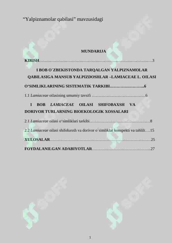 “Yalpiznamolar qabilasi”