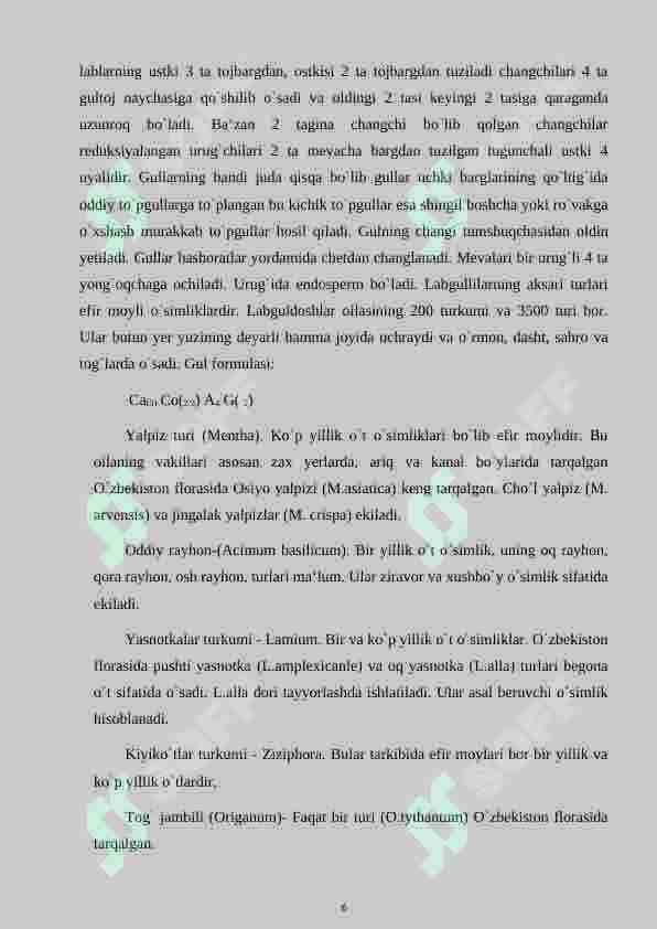“Yalpiznamolar qabilasi” 6
