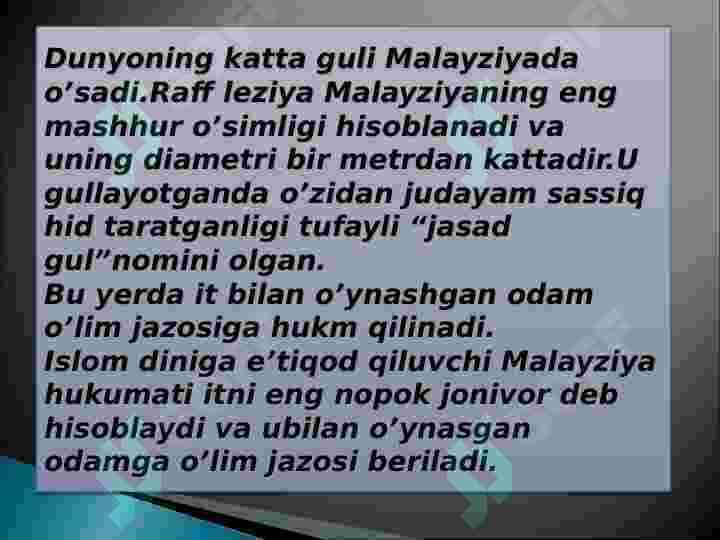 Malayziya ta`lim tizimi 7