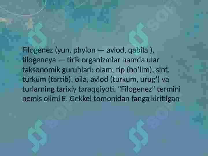 Ontogenez va Filogenez haqida ma'lumot 7