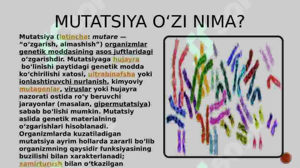 Mutatiya jarayoni va uning mexanizmi 3