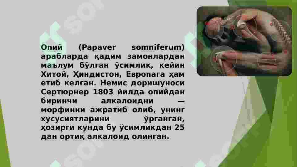 Narkotik analgetik dori vositalari 5