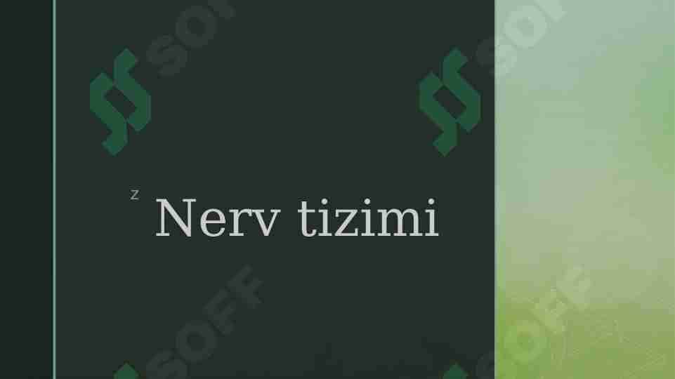 Nerv tizimi