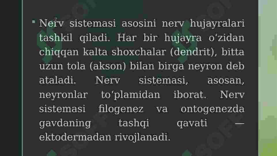 Nerv tizimi 3