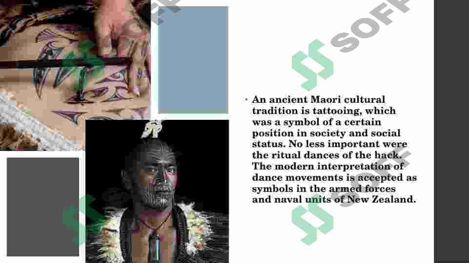 New Zealand Culture 4