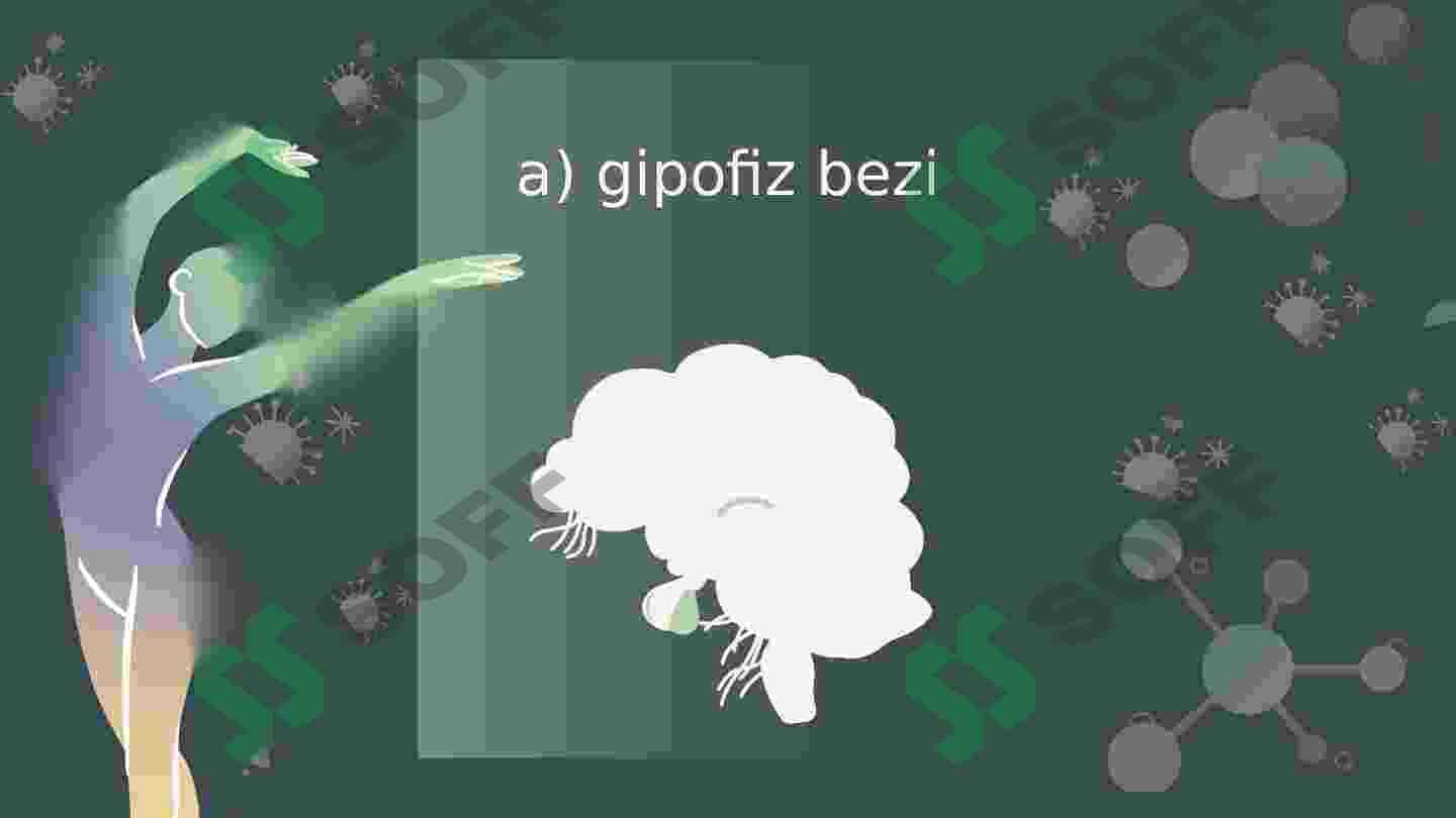 Neyro-endo raqs 6