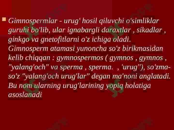 Ochiq urug’lilar bo’limi 3