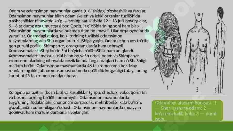 HOZIRGI QIYOFADAGI ODAMLARNING PAYO BO’LISHI 4
