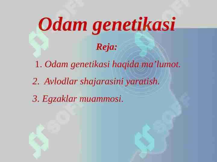 Odam genetikasi
