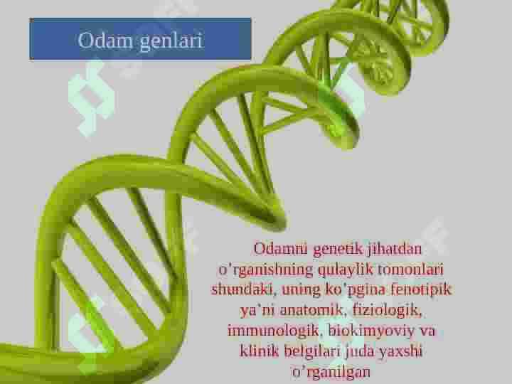 Odam genetikasi 4