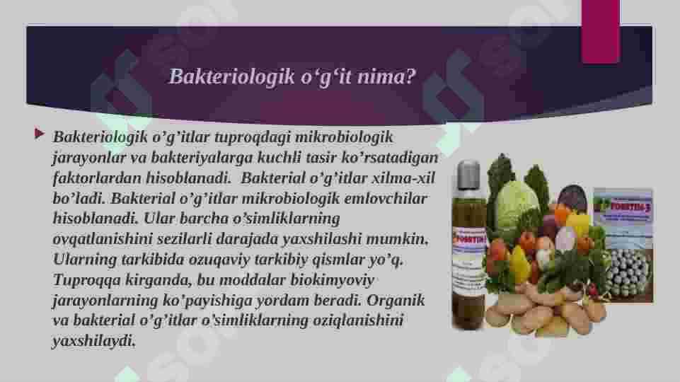 Bakteriologik oʻgʻitlar va ularning qoʻllanilishi 2