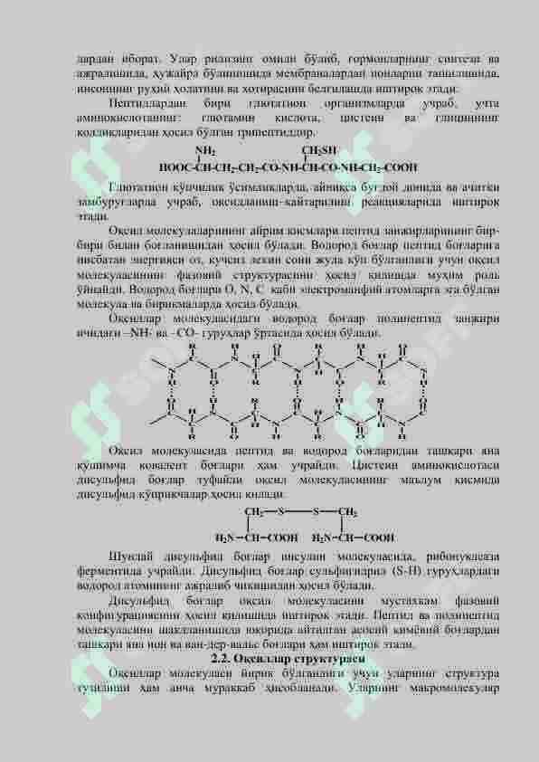 Oqsillar 8
