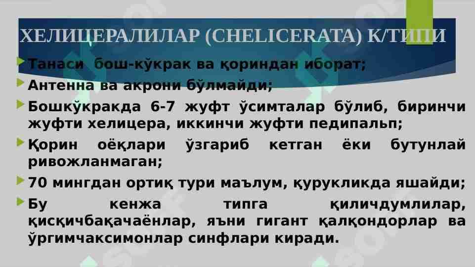O‘rgimchaksimonlar