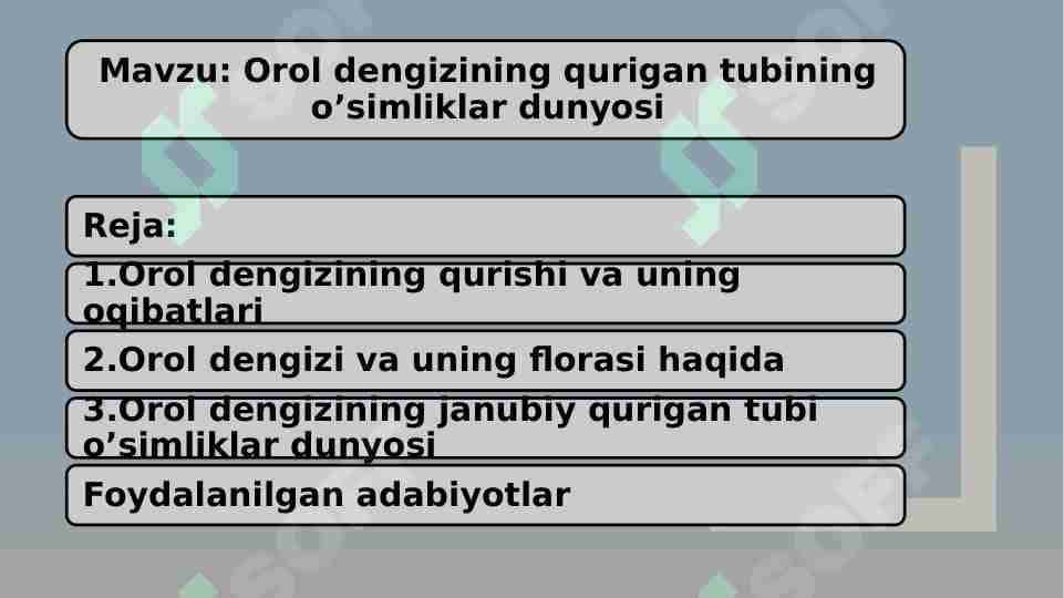 Orol dengizining qurigan tubining o’simliklar dunyosi