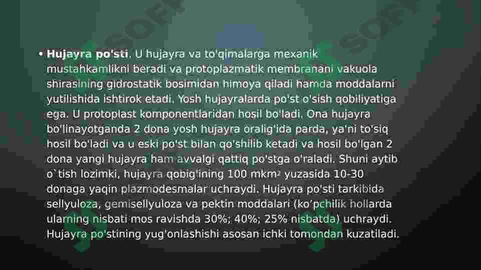 Oʻsimliklarning hujayralari va toʻqimalari 7