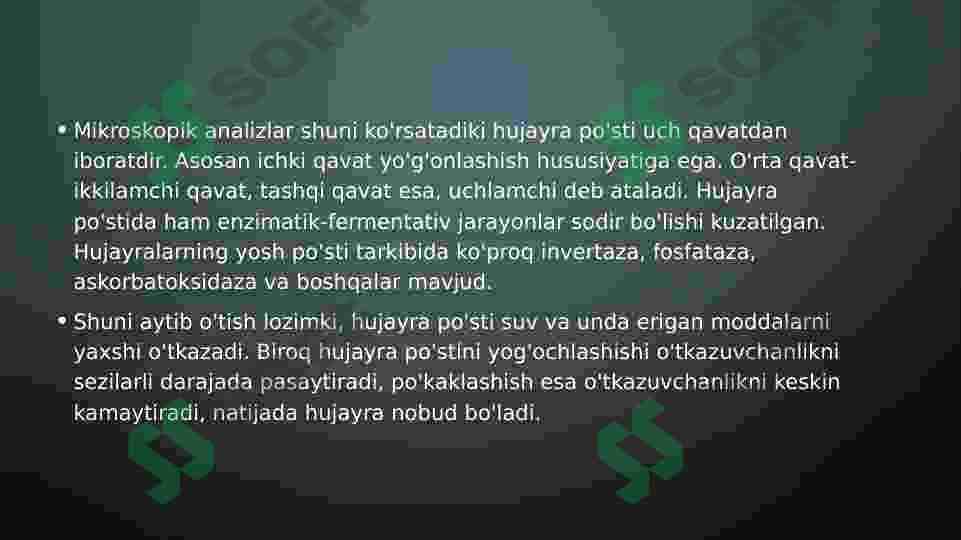 Oʻsimliklarning hujayralari va toʻqimalari 8