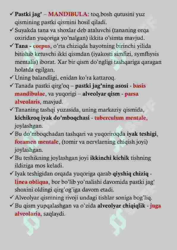 PASTKI JAG' ANATOMIYASI 2