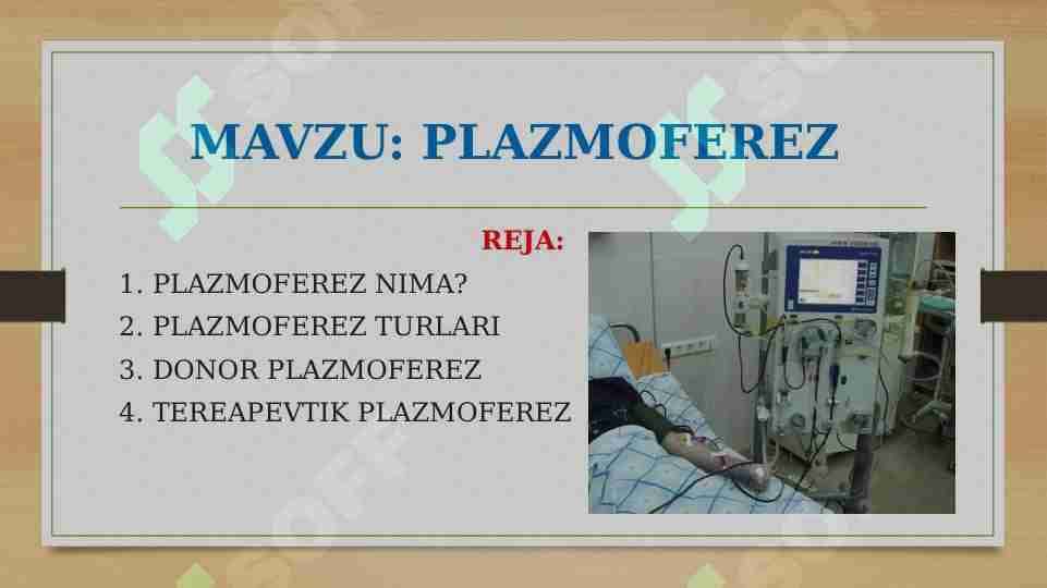 PLAZMOFEREZ