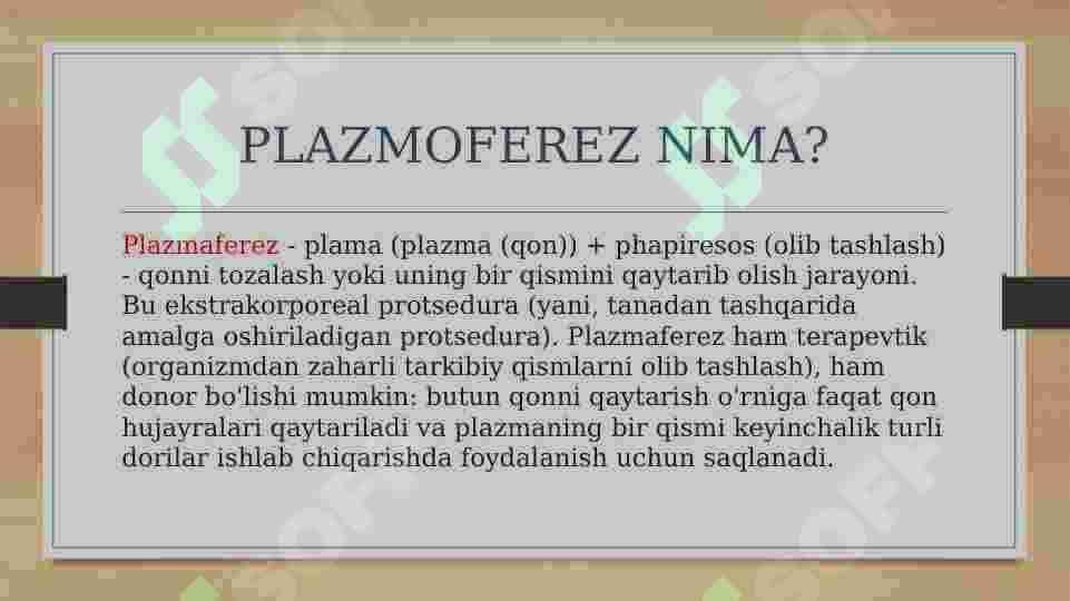 PLAZMOFEREZ 2