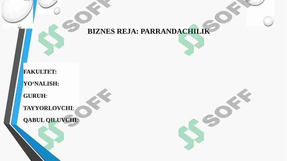 Parrandachilik Biznes reja