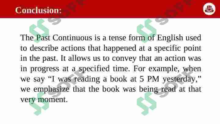Past Continuous Tense 3