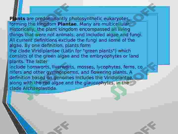 Plants 3