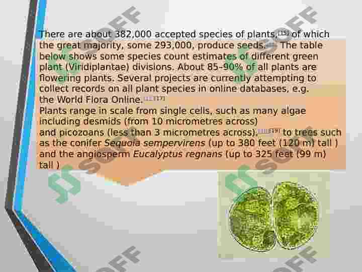 Plants 5