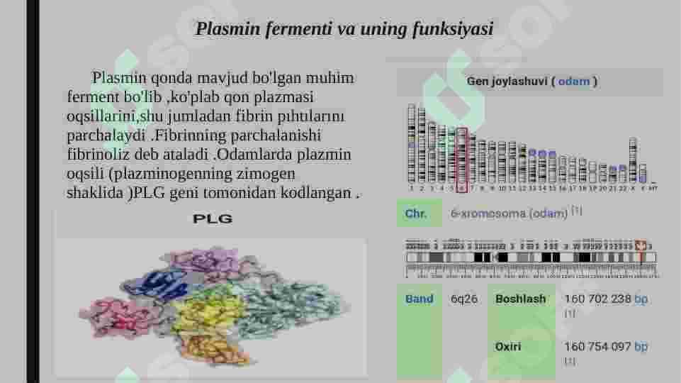 Plasmin fermenti va uning funksiyalari 2
