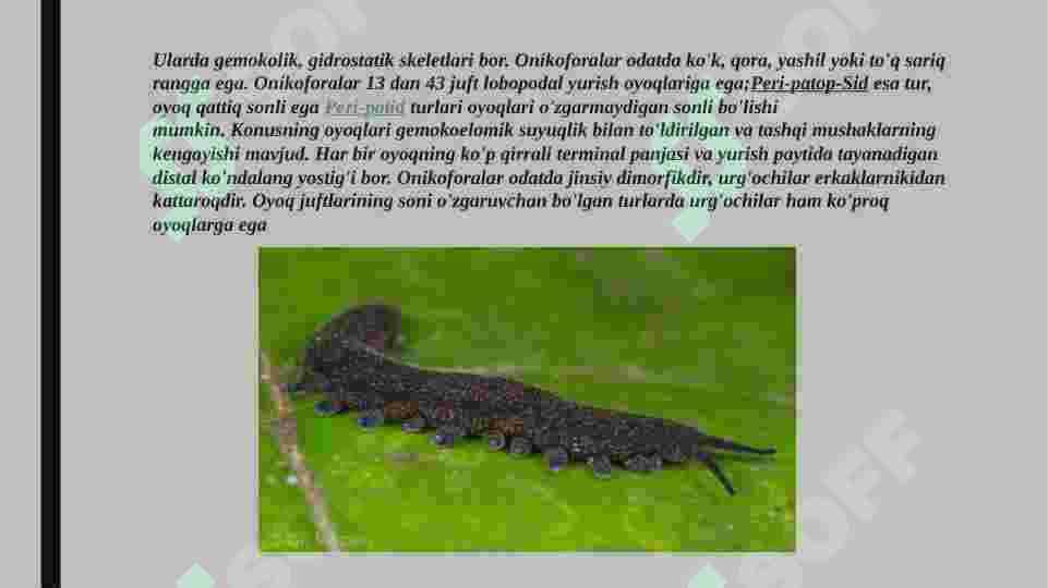 Onychophora va Tardigrada tiplari 7