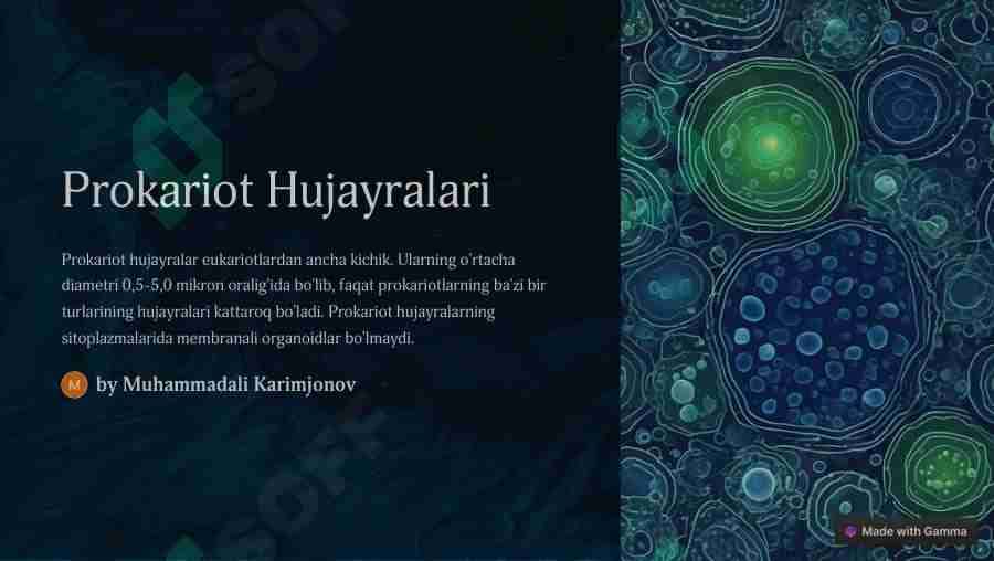 Prokariot hujayralar