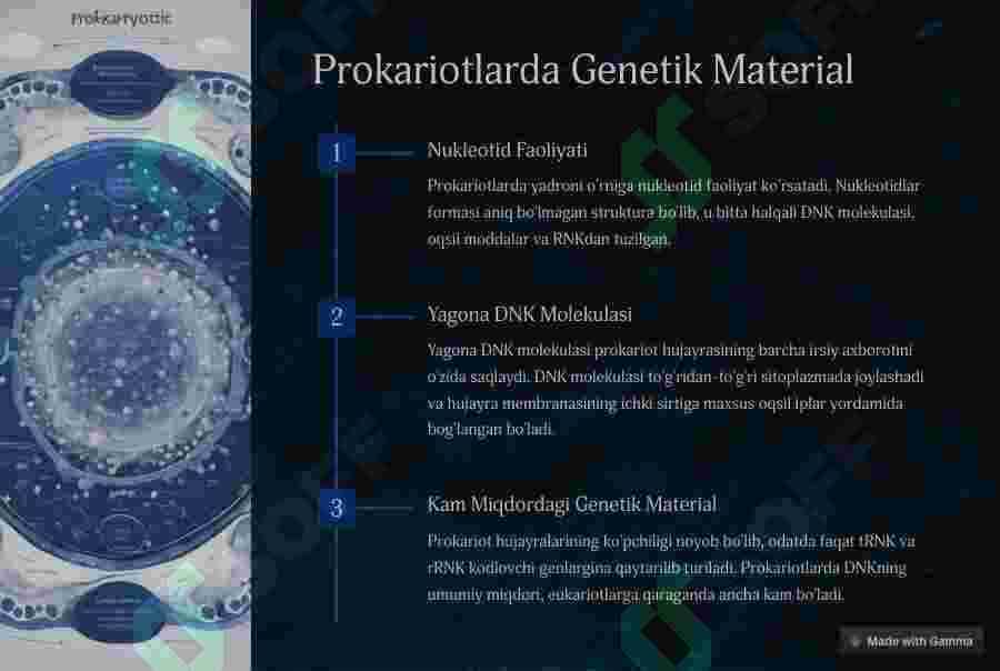 Prokariot hujayralar 3