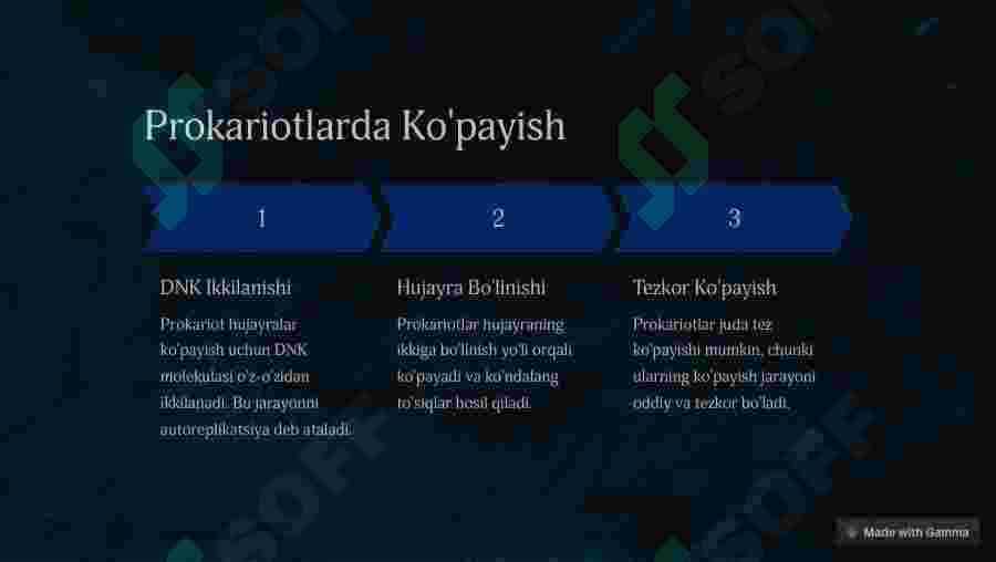 Prokariot hujayralar 4