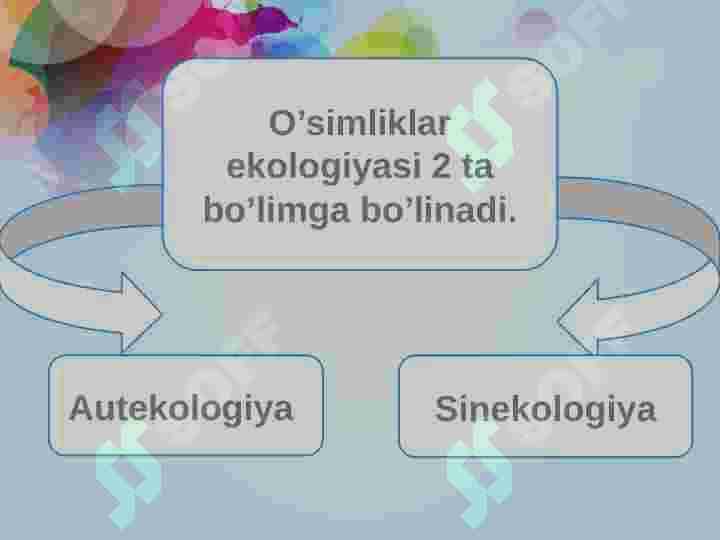 O'simliklarning biosferadagi va inson hayotidagi ahamiyati 5