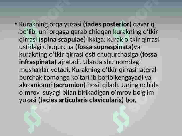 Qo'l suyaklari 6