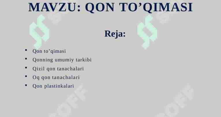 QON TO’QIMASI