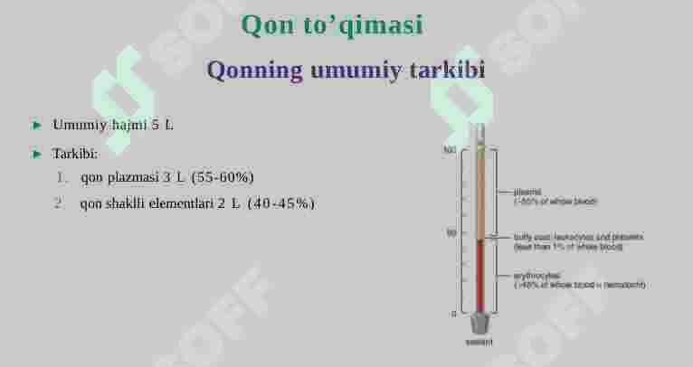 QON TO’QIMASI 2