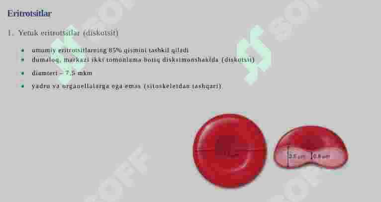 QON TO’QIMASI 5