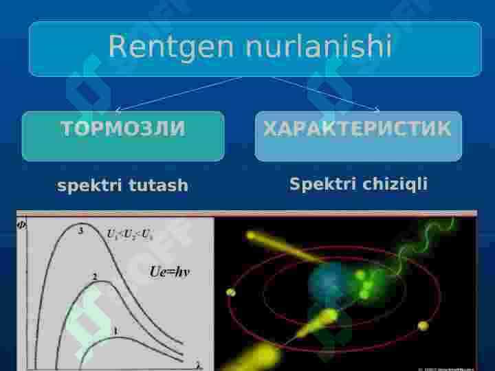 Rentgen nurlanishi. Rentgenografiya. Rengenoskopiya 5